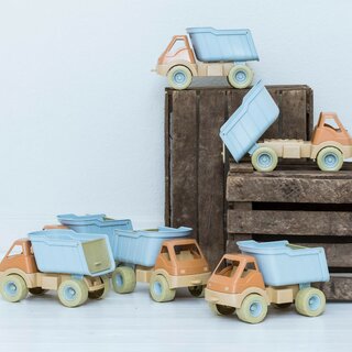 Bio LKW (6 Stck)