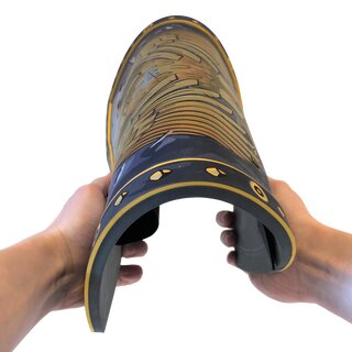 Ritter Schild, Goldener Adler