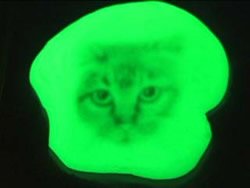 Intelligente Knete Schattenfotografie Katze